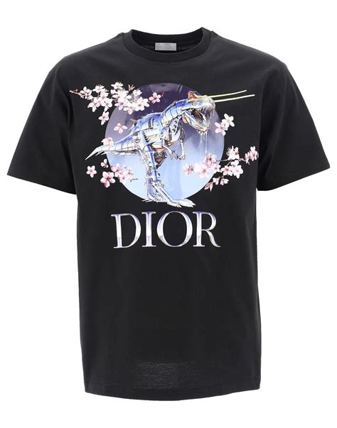 dior mens t-shirt|Dior t shirt men's price.